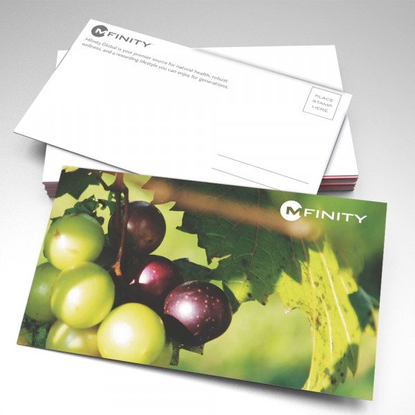 7x5" Mfinity Postcards - Pack of 24 - Design 1